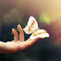 来自古诗词的诗意网名精选(精选101个)