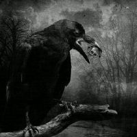 鬼魅恐怖有点丧的网名大全(精选49个)