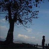 心冷累了颓废的伤感网名大全(精选53个)