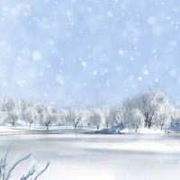 2022雪景发朋友圈配一句话 2022适合雪景发朋友圈的句子说说