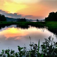 保护生态环境的句子(精选65句)