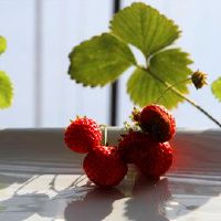 幸福阳光快乐的网名大全(精选88个)