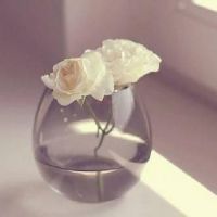 三个字简单大方的网名(精选60个)