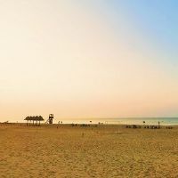 洞察生活的经典文案(精选63句)