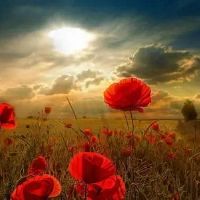 表达热爱生活的文案短句(精选43句)