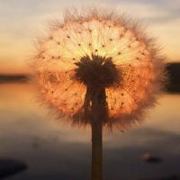 简单独特的小众微信状态文案(精选69句)