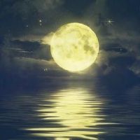 非主流的情侣英文网名带翻译成对(精选36个)