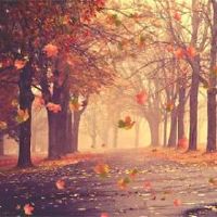 好听有诗意的微信昵称大全(精选157个)