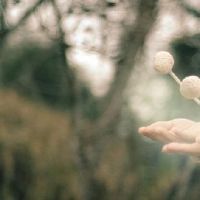 有诗意有故事的个性签名(精选31个)