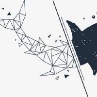 有含义独一无二的的英文昵称(精选79个)