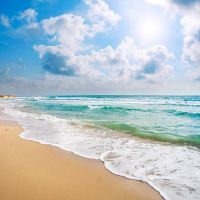 简短深入人心的文案句子(精选71句)