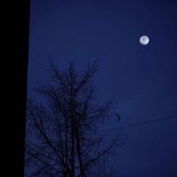 非常沮丧心酸的朋友圈文案(精选51句)