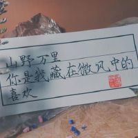 写意优美的古风句子文案(精选95句)