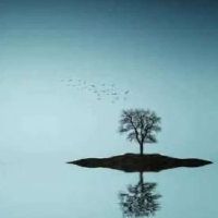 大气低调有诗意的女生网名大全(精选69个)