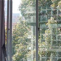 朋友圈天气热的说说心情短语(夏天说说心情短语)