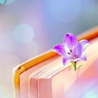 抖音上必火服装文案内衣文案(抖音最火服装文案)