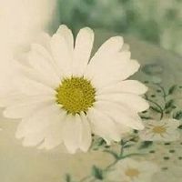 不能笑着拥有的唯美句子