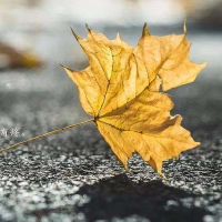  最现实最扎心的句子,最现实最扎心的句子为了赚钱不能陪伴孩子	