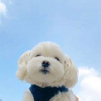 高情商的暖心句子,高情商的暖心句子2022