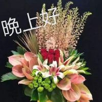 晚上好最美短句朋友圈