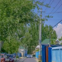 将隐晦爱意说到极致的句子