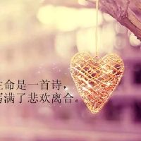  人生感悟的句子经典语句,人生感悟的句子经典语句人生如梦