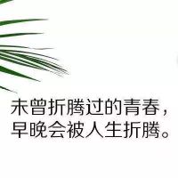 人生感悟经典句子句句精辟入骨