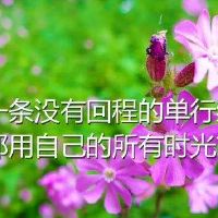  包含人生感悟句子句句穿心,句句经典有哲理!