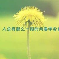 人生哲理的句子短语,生活哲理的句子经典简短