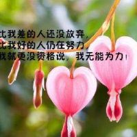 富含人生哲理的句子大全