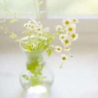 自己哄自己开心的说说,自己把自己哄开心的说说