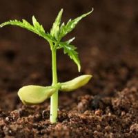 关于立秋的古诗大全 最经典的立秋古诗词