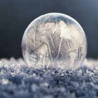 30个适合用来表白的可爱诗句