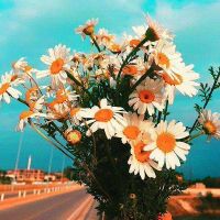 仁慈阳光快乐女人说说(阳光女人正能量说说)