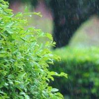 喜好雨天浪漫唯美的句子(喜好雨天浪漫唯美的句子图片)