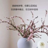 鼓励人心的句子八个字(励志语录典范短句8个字)