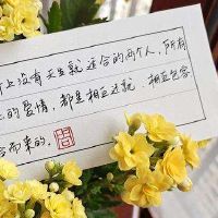 案牍短句清洁治愈(案牍短句清洁治愈阳光正能量)