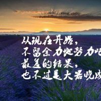 人生感悟的句子典范(超典范感悟人生的句子)