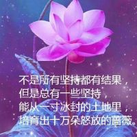 人生最现实的句子发伴侣圈(典范人生句子发伴侣圈)