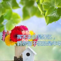 人生最现实的句子(人生最现实的句子案牍)