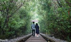 放弃爱情的句子英文