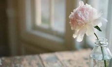 愿时光善待你唯美句子