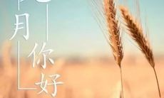 九月你好的唯美句子