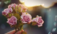 有关于开心的座右铭