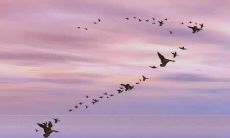 有关志向的座右铭