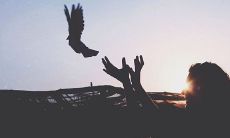 让自己心静的句子