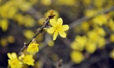 老同学相见格外开心的句子 同学开心相聚的句子