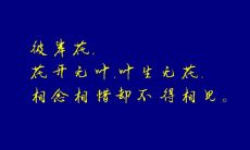 爱一个爱到心碎的句子