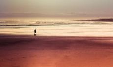 生活不是不轻松，而是看不淡