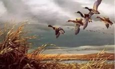 脚踏实地的座右铭